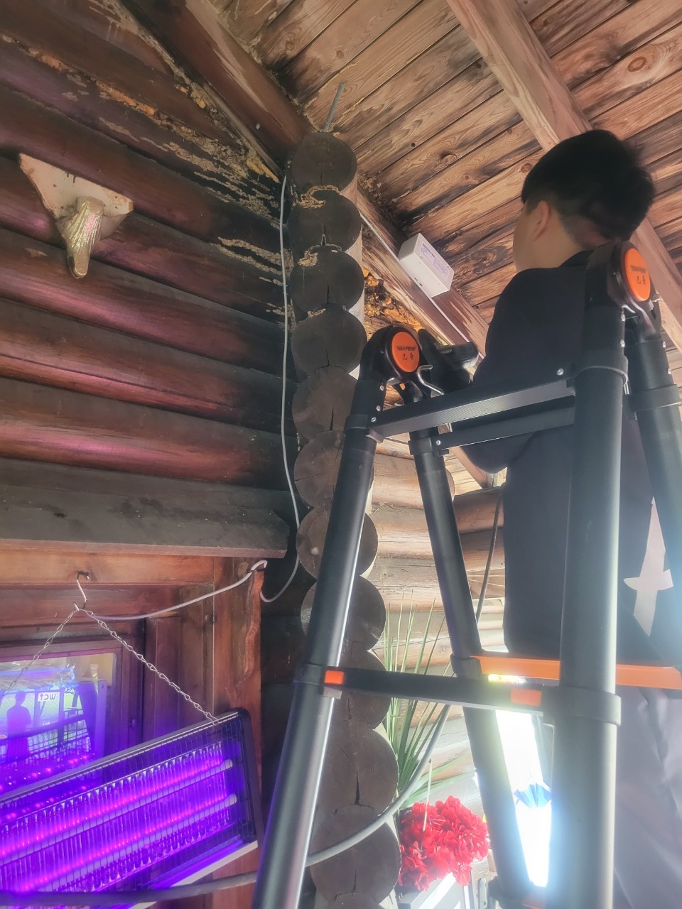 20230629白蟻餌站施工的第2張圖片